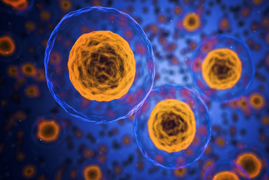 How does HIV affect the body?